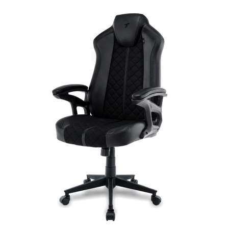 เก้าอี้เกมมิ่ง TTRacing Duo V4 หนัง PU สี Stealth_3
